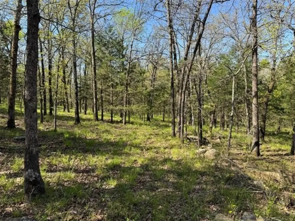 Picture 19