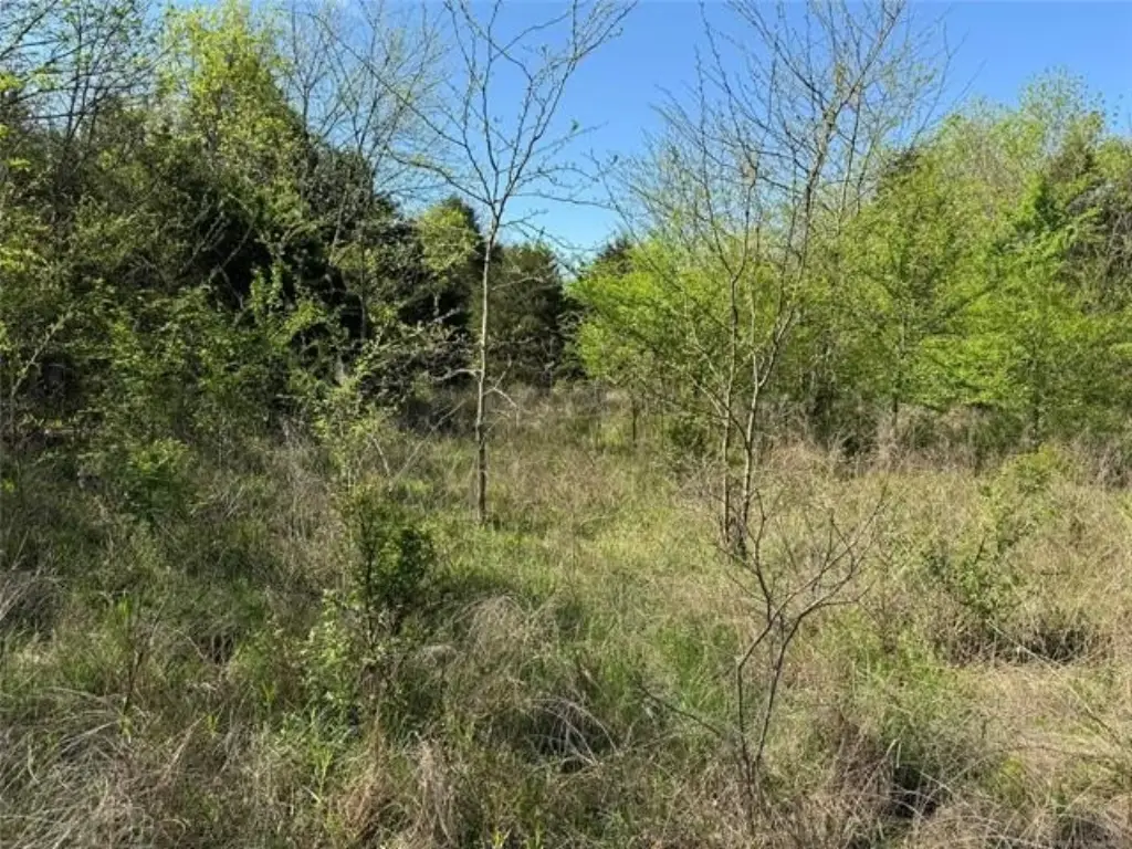 Picture 40