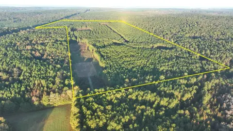 Clopton, AL Farm/Estate Opportunity