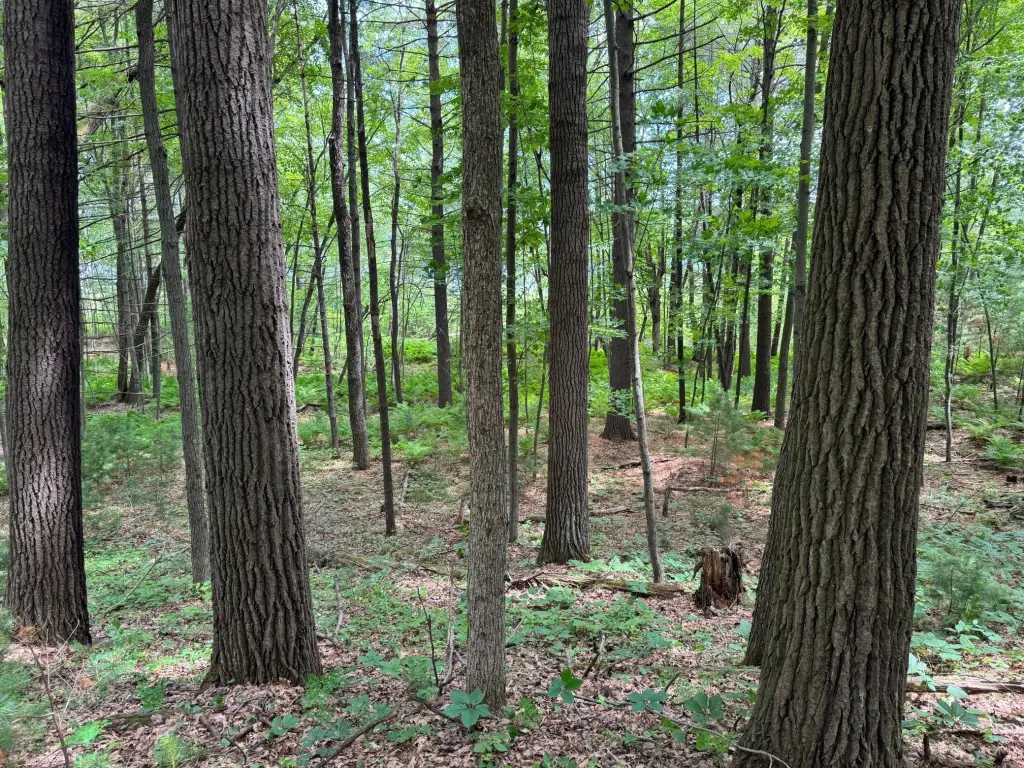 Picture 14