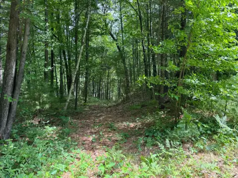 Waterfront Residential Land with Lakefront
