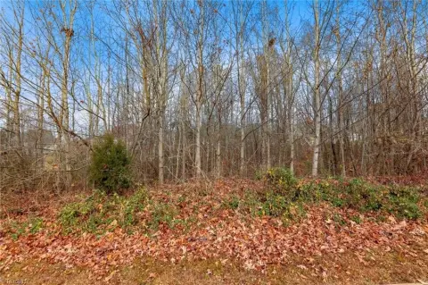 Residential Land in Tobaccoville, NC