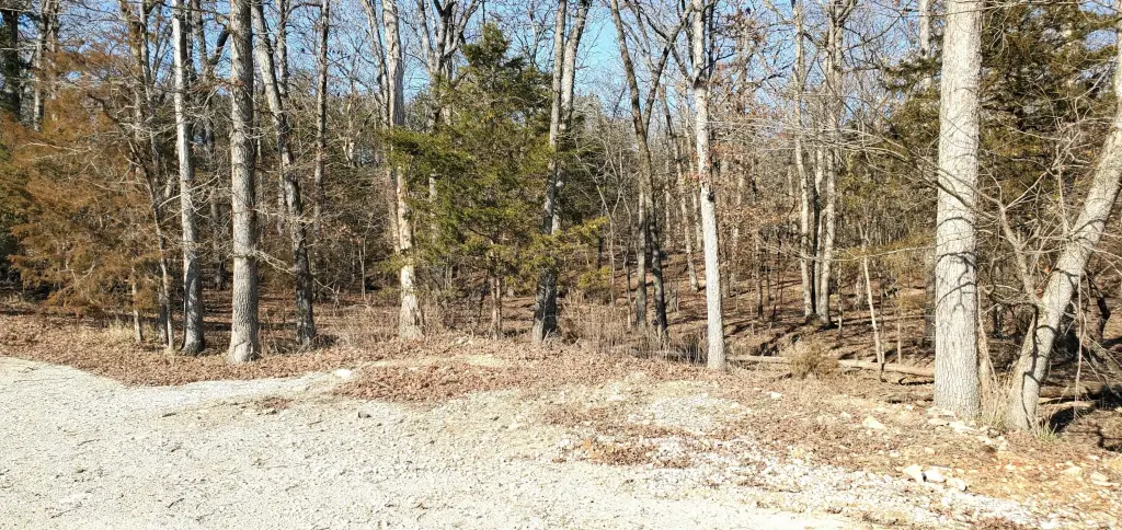 Picture 2