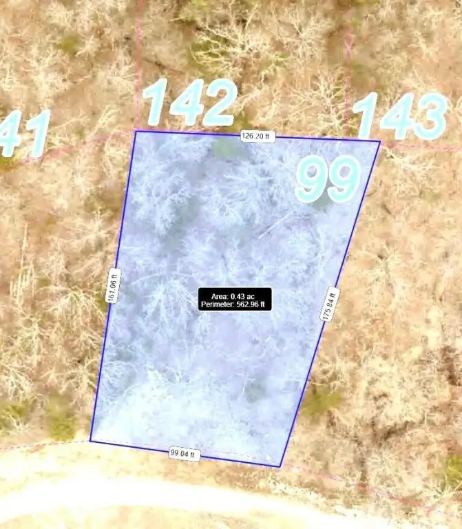 Picture 19