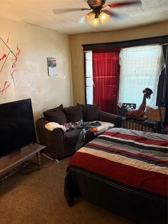 Picture 17
