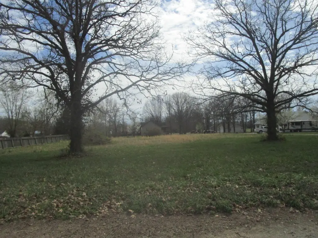 Picture 7