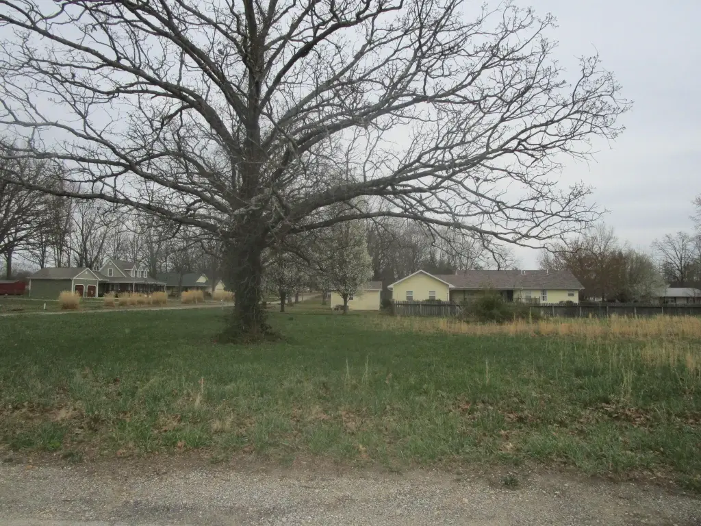 Picture 5