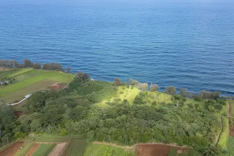 Oceanfront Land in Pepeekeo, Hawaii
