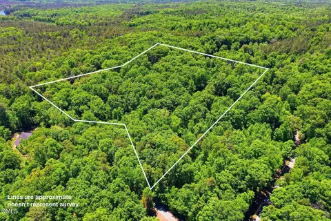 Wooded Land Near Jordan Lake