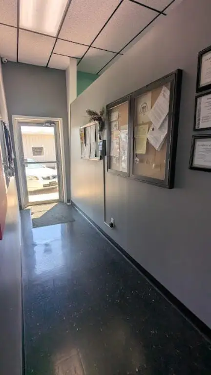 Picture 19