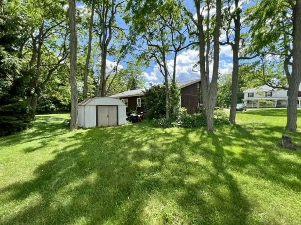 Picture 3