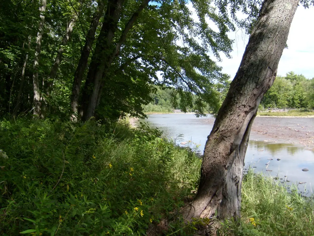 Picture 17