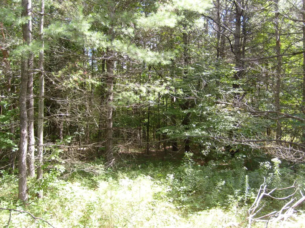Picture 19