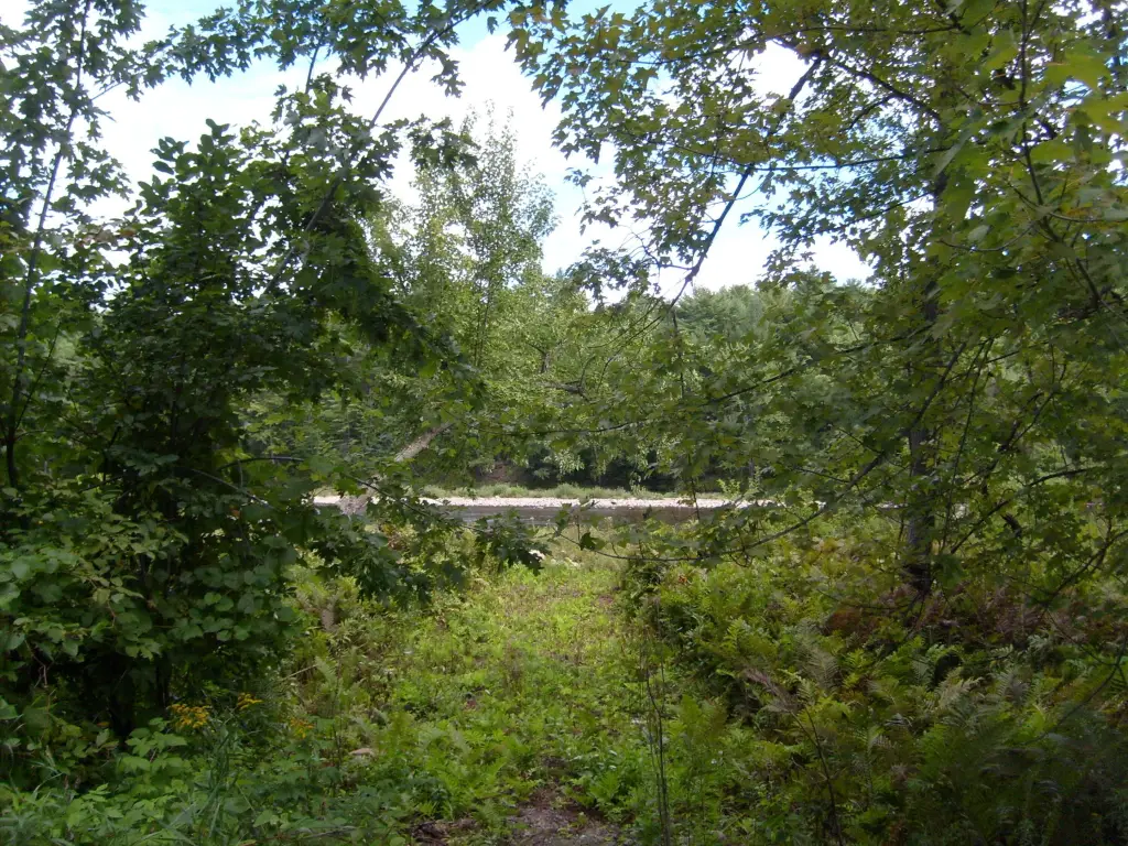 Picture 9