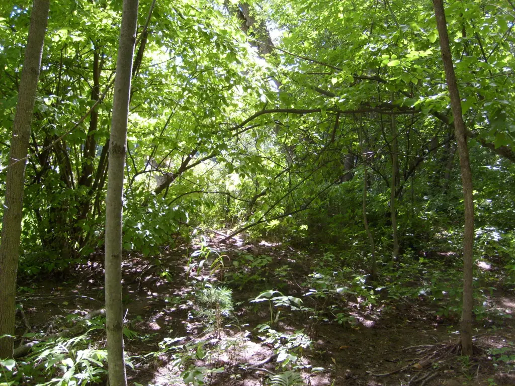 Picture 20