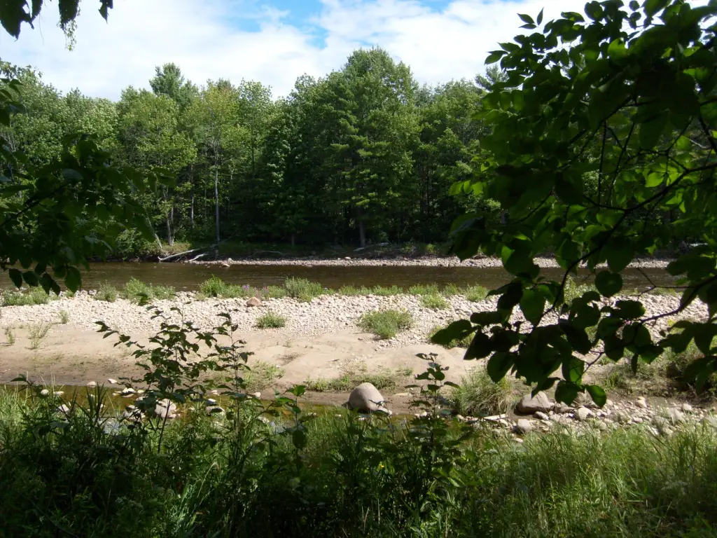 Picture 15