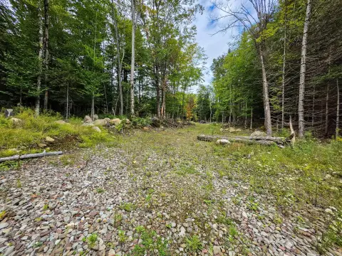 Wooded Commercial Land with Clearing
