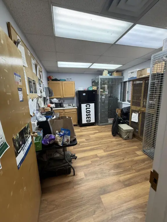 Picture 11