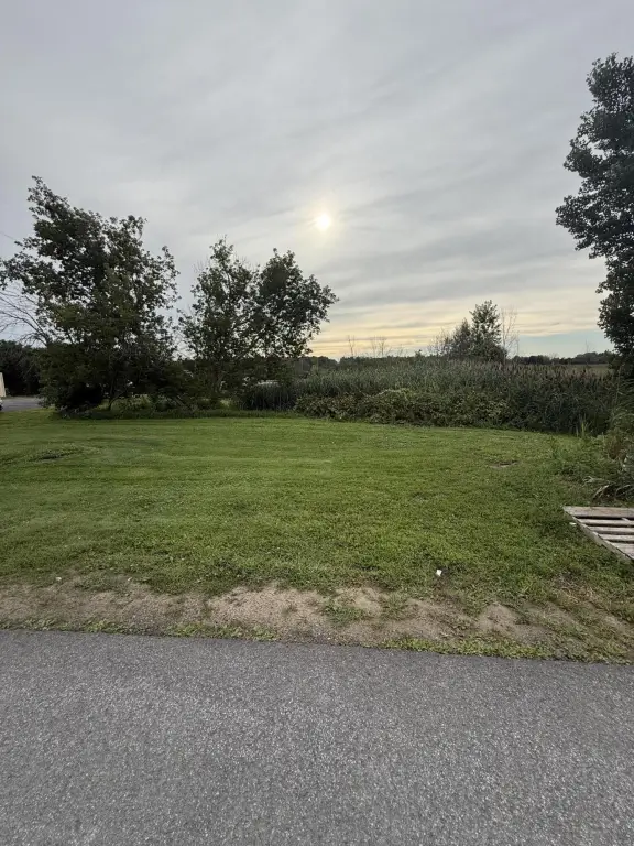 Picture 25