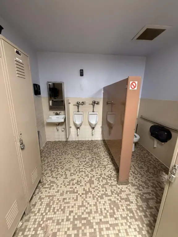 Picture 6