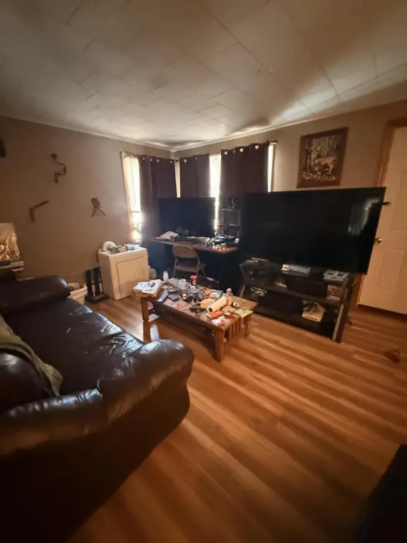 Picture 19