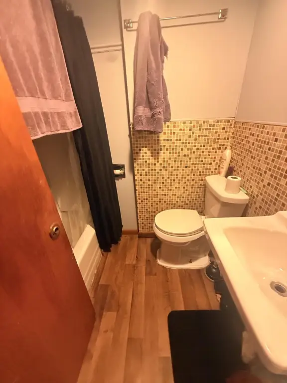 Picture 14