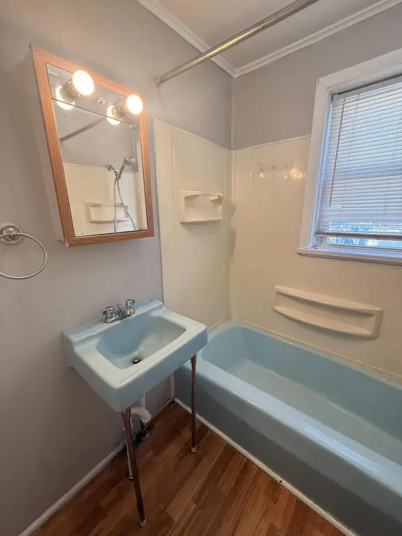 Picture 19