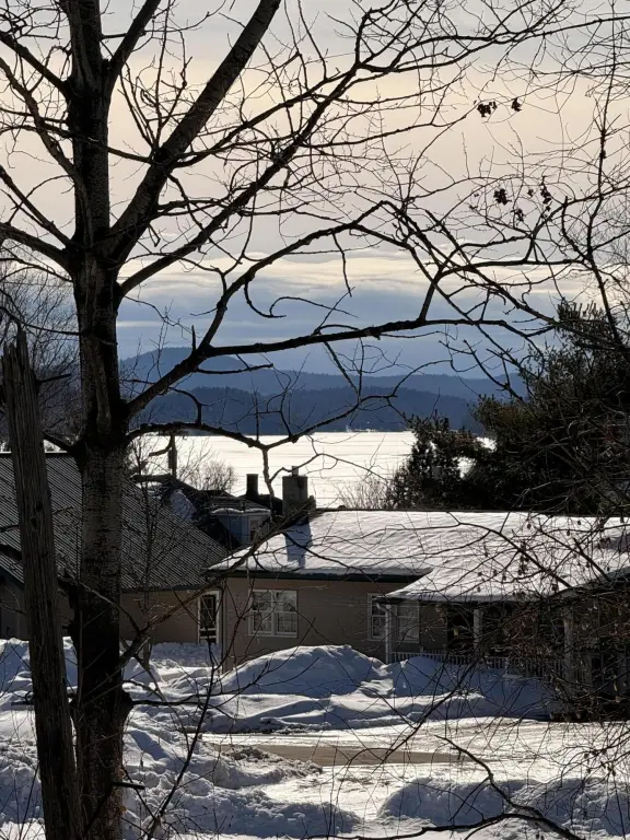 Picture 31