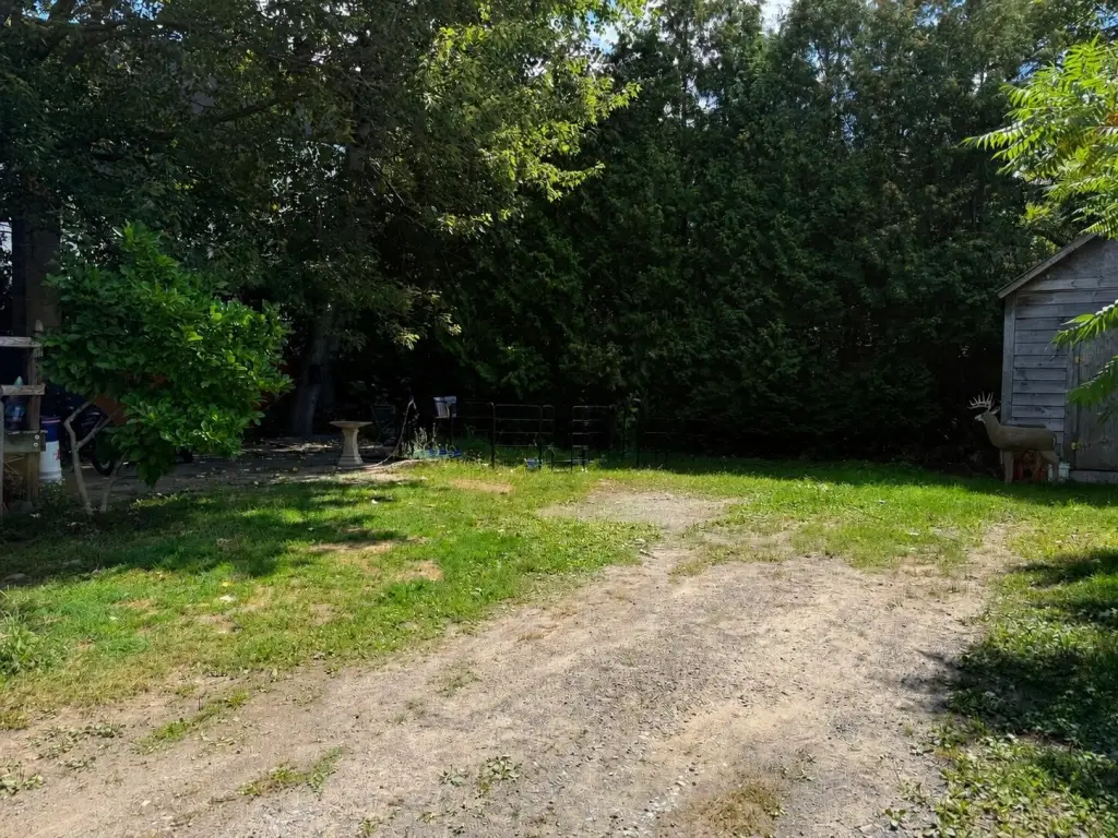 Picture 28