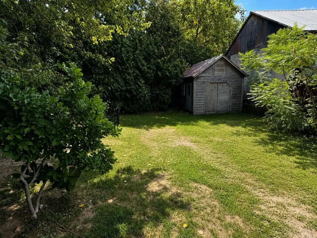 Picture 23