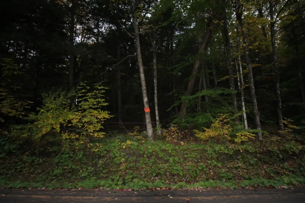 Picture 8
