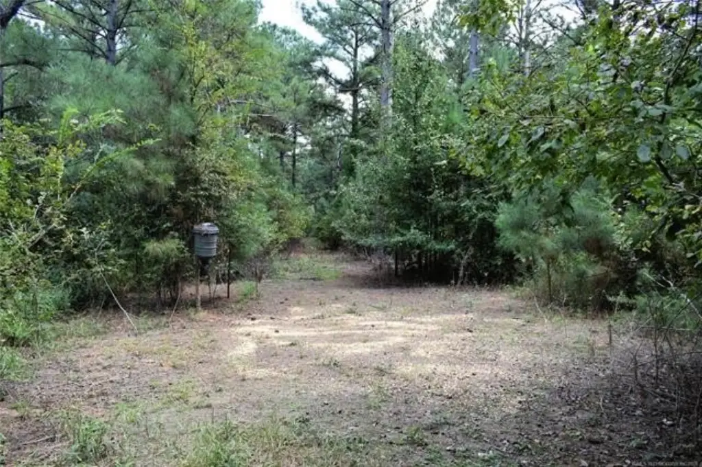 Picture 26