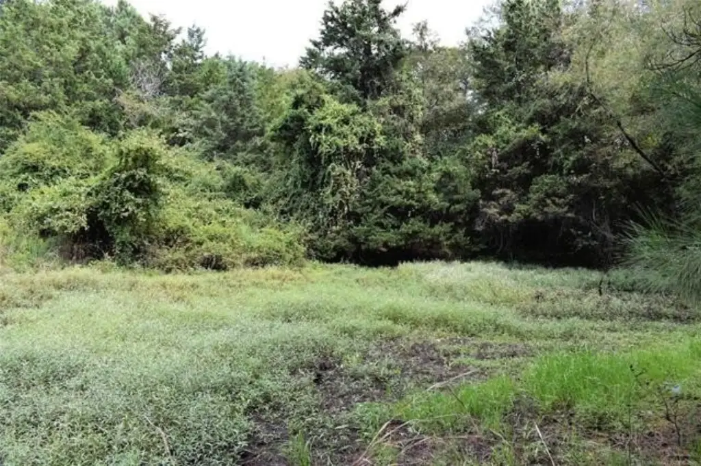 Picture 25