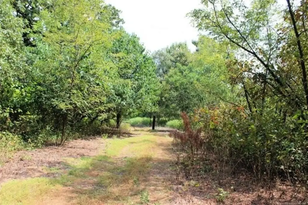 Picture 13