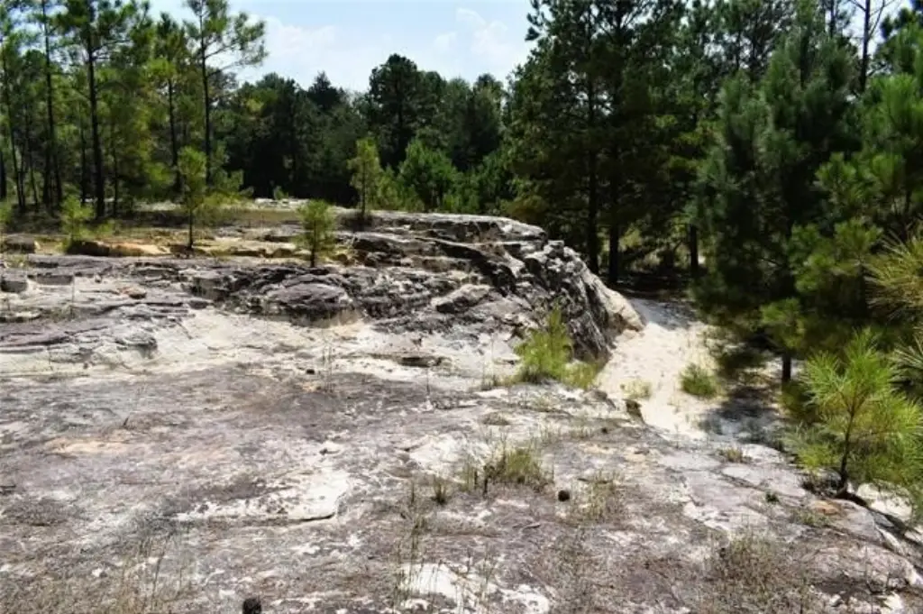 Picture 32