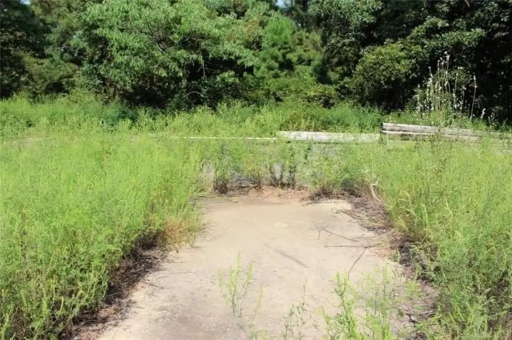 Picture 6