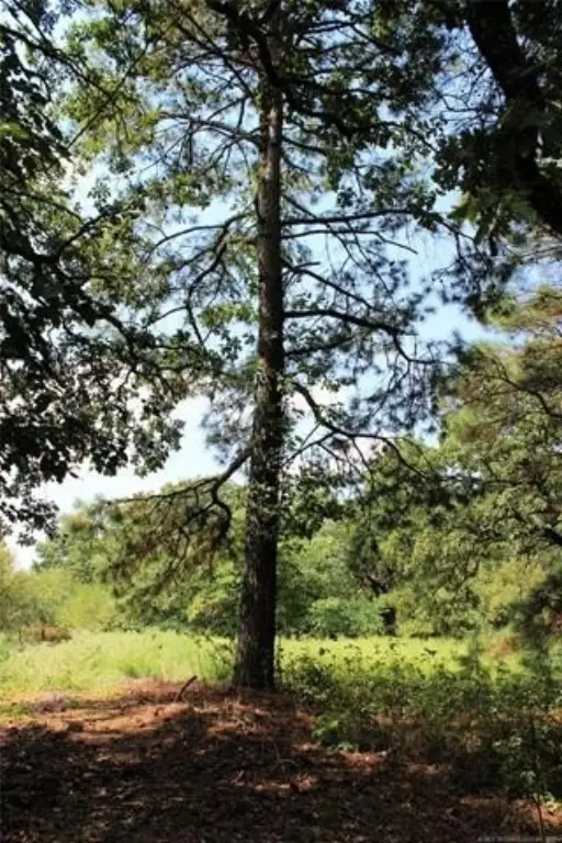 Picture 18