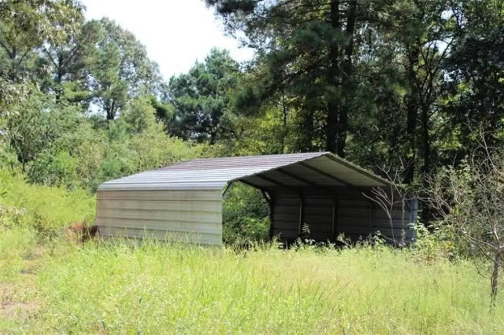 Picture 4