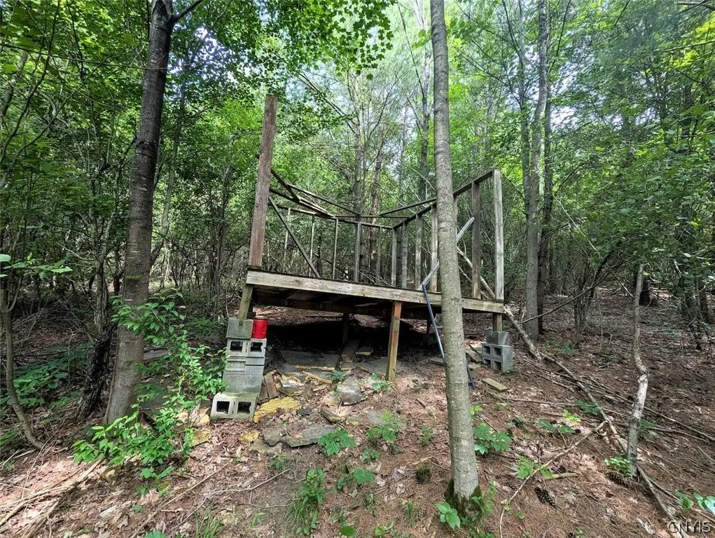 Picture 4