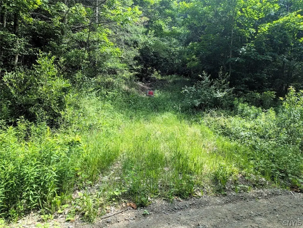 Picture 2