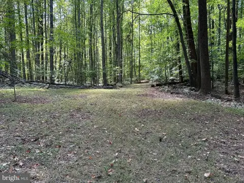 7+ Acre Wooded Lot