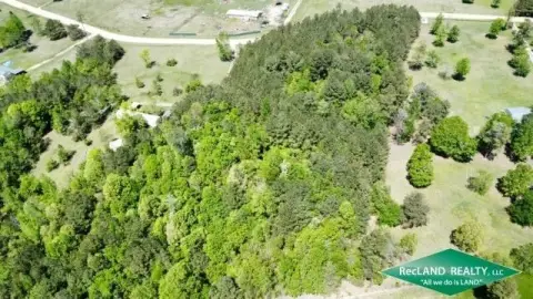 Wooded Homesite Tract Near Collinston