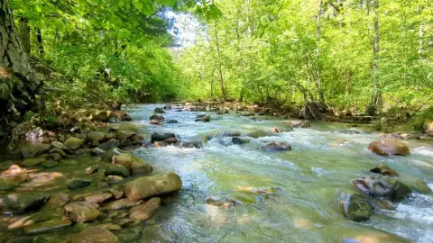 Scenic Land with Creek Frontage