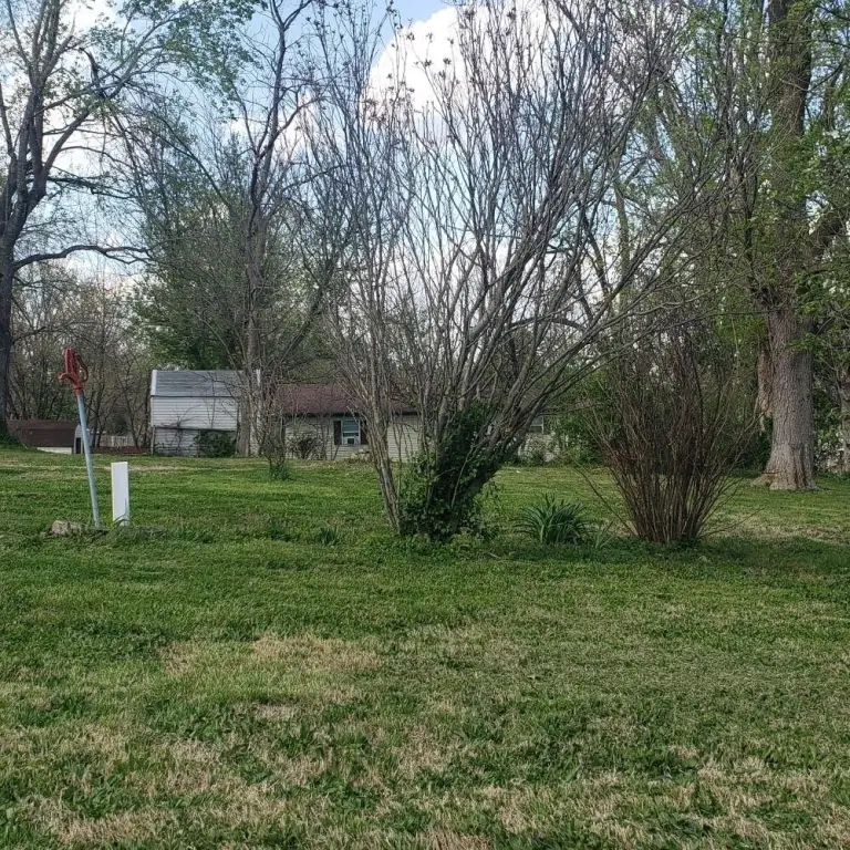 Picture 6