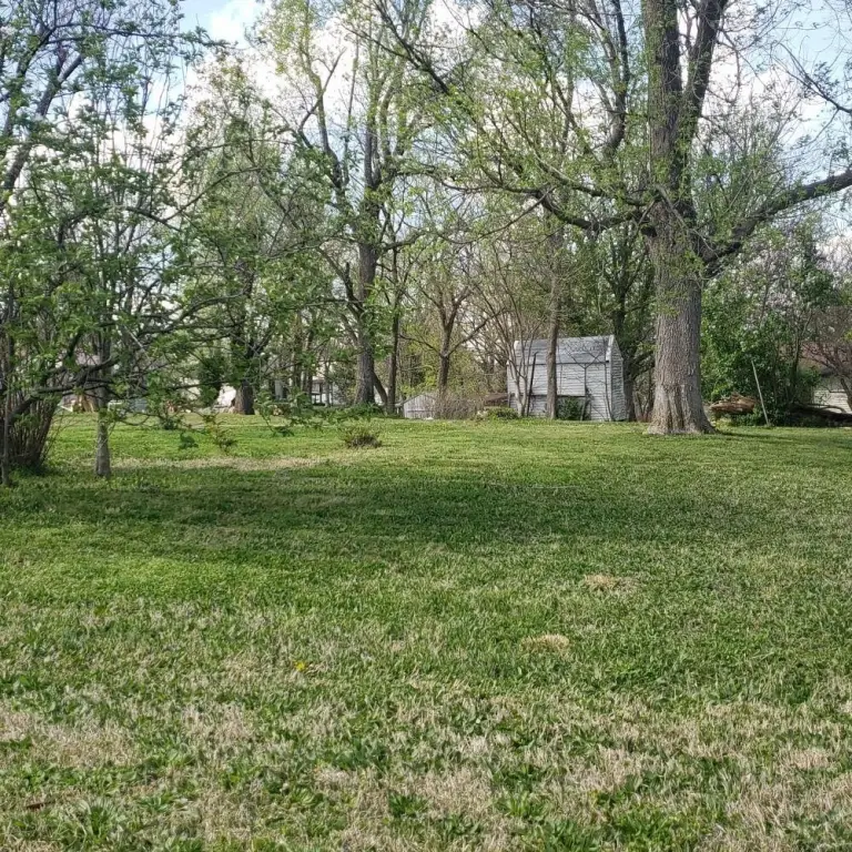 Picture 3