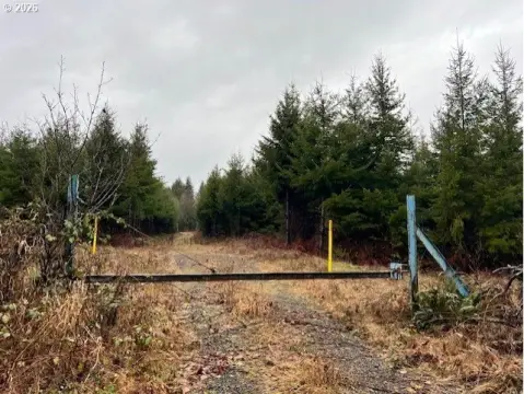 Clatskanie Timber Investment Opportunity