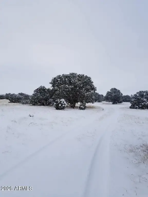 Picture 14