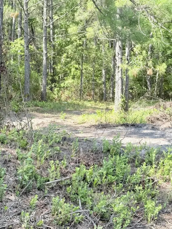 Picture 14