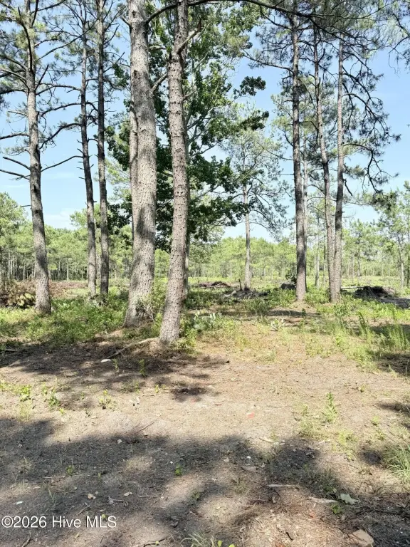 Picture 18