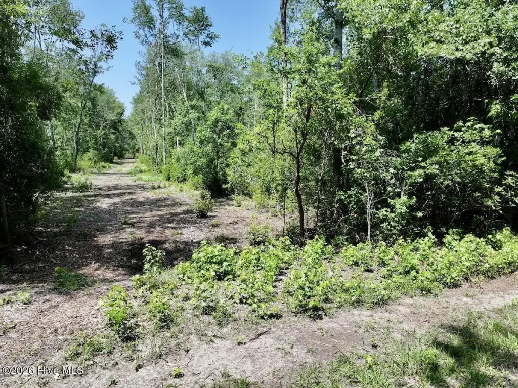 Picture 23